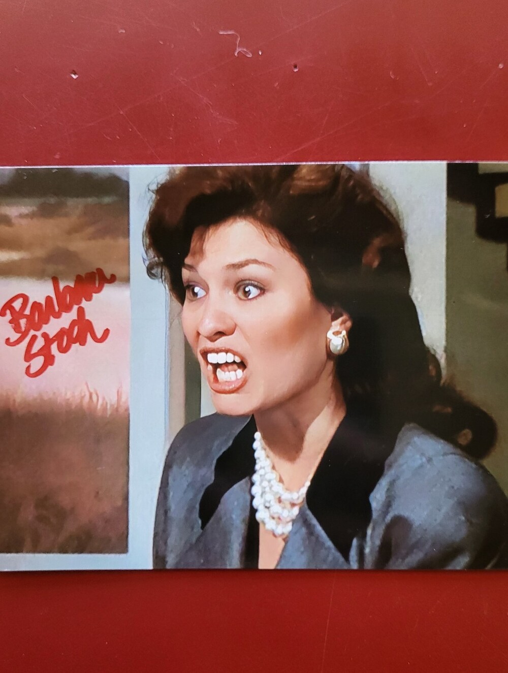 Barbara Stock Seinfeld Hand Signed 4x6 Autograph Photo